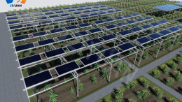 Agricultural Solar Mounting Structures (Agri-PV Systems) – Sustainable Farming Meets Solar Energy Innovation