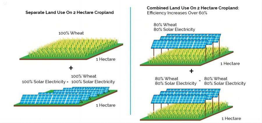 Agricultural Solar Mounting Structures (Agri-PV Systems) – Sustainable Farming Meets Solar Energy Innovation