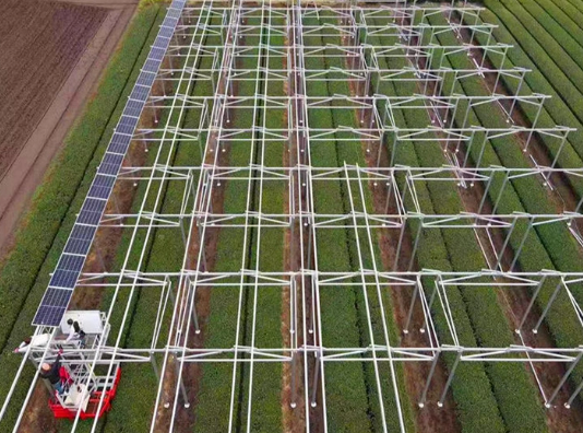 Estructura de Montaje Solar en Tierra para Sistemas de Paneles Solares Verticales