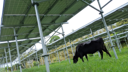Solar Ground Mount System with Double Flange Tube Ground Screw