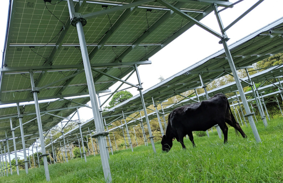 Solar Ground Mount System with Double Flange Tube Ground Screw