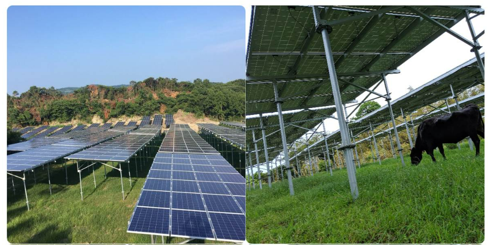 Solar Ground Mount System with Double Flange Tube Ground Screw